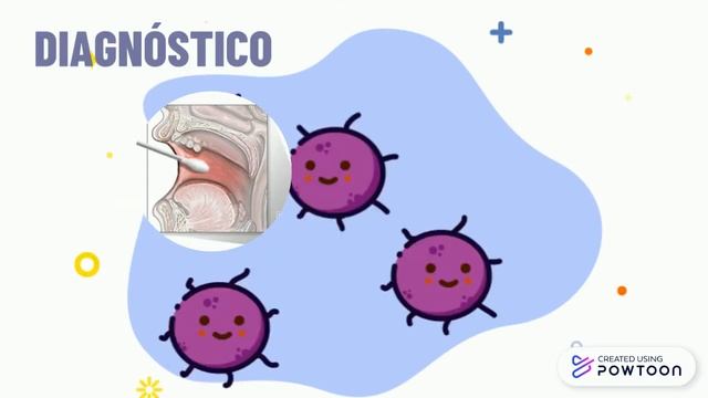 CANDIDA ALBICANS смотреть онлайн