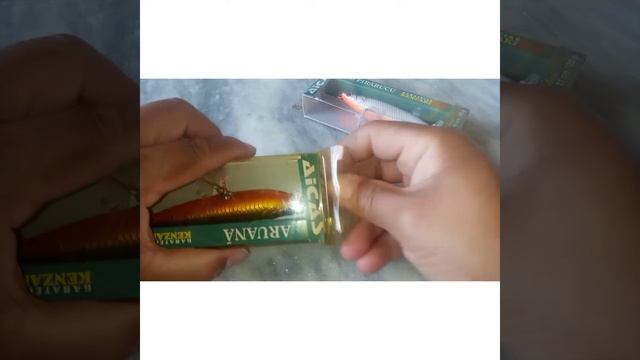Aruanã e Pirarucu iscas da Aicas pra muitos uma raridade... смотреть онлайн