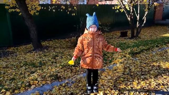 Онлайн-фестиваль 