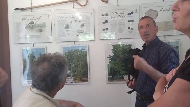 Explaining About Truffle In Italy