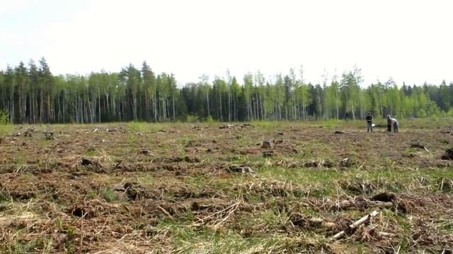 20130511 строчковый слёт ГСП