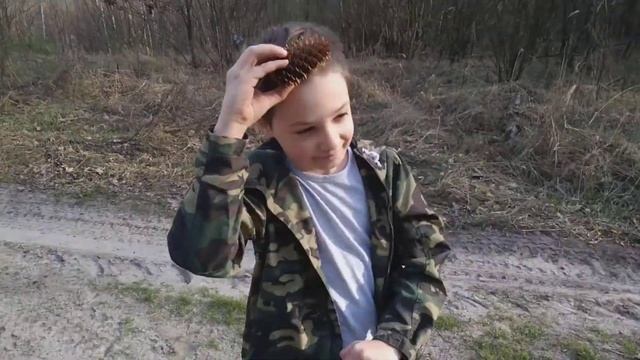 весна 2020. Карантин. Лесная расческа