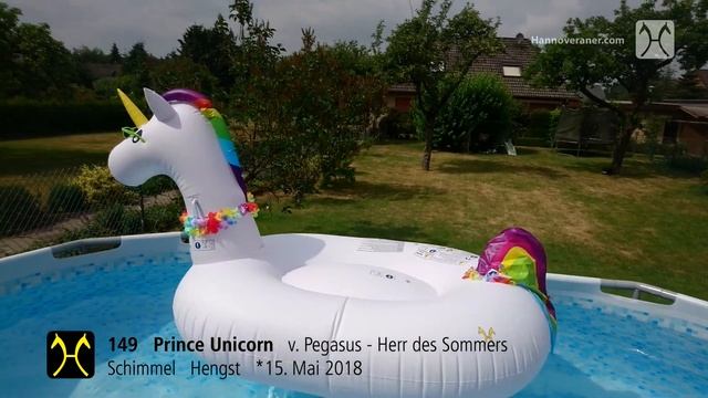 Verdener Auktion am 13./14. Juli-Nr. 149 Prince Unicorn v. Pegasus - Herr des Sommers смотреть онлайн