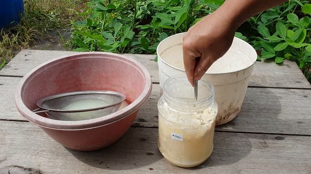 How To Make EM1/ EM Solution Preparation / EM Fertilizer