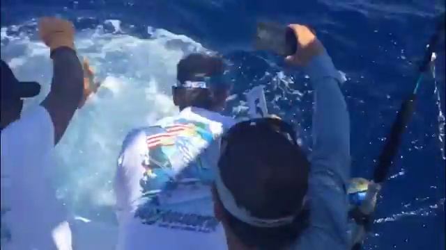 2016 Los Cabos Billfish Tournament | Team Bill Collector | Striped Marlin смотреть онлайн