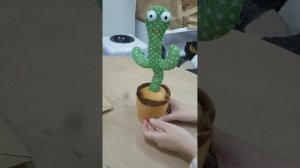 танцующий кактус