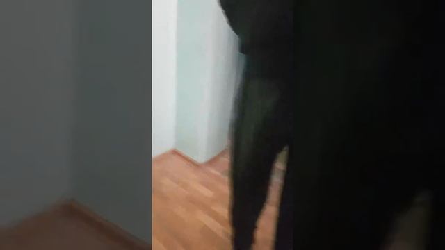 Алкаш в падике смотреть онлайн