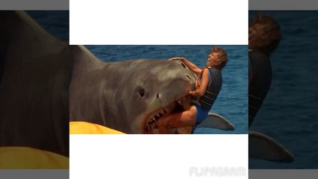 Flipagram - Jaws 4 The Revenge смотреть онлайн