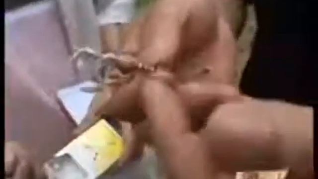 Как отличить настоящий Кордицепс