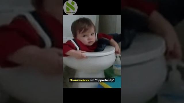 4 слова на иврите, которые ты на 99% используешь неправильно смотреть онлайн