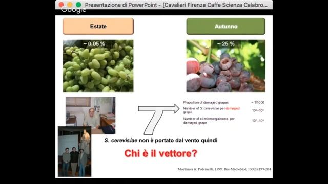 Le vespe fanno il vino buono смотреть онлайн