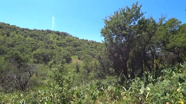 На Пасике в Горах смотреть онлайн