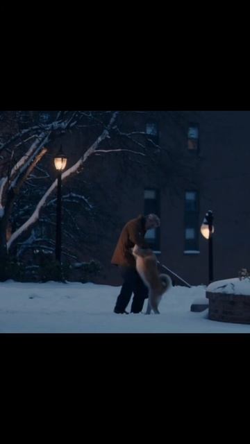 Рай для Хатико #hachiko #хатико #собака #животные #друг #драма #верныйдруг #shorts смотреть онлайн