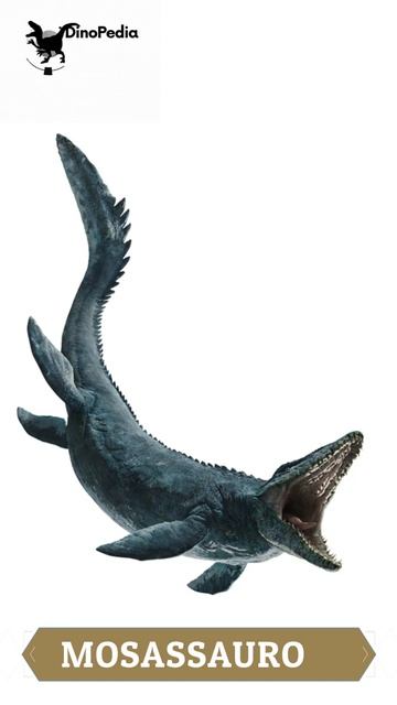 Mosassauro | DinoPedia #shorts смотреть онлайн