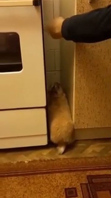 Серка смотреть онлайн