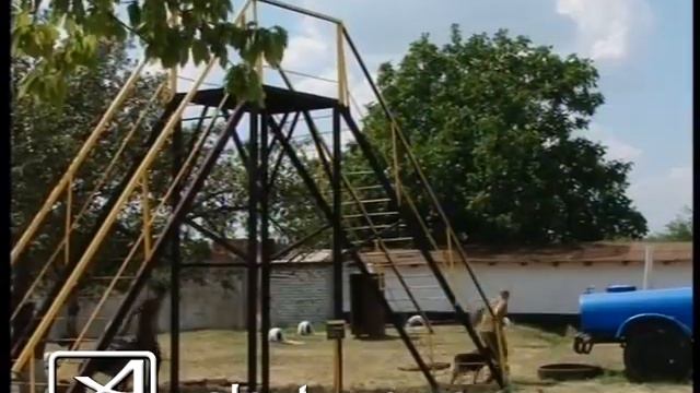 Кинологические соревнование ГПтС смотреть онлайн