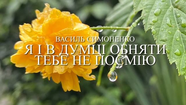Василь Симоненко «Я і в думці обняти тебе не посмію»