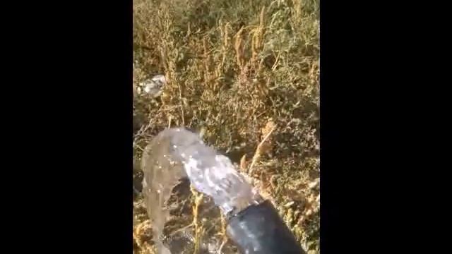 волжская смотреть онлайн