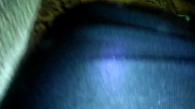 5 февраля 2016 г. смотреть онлайн