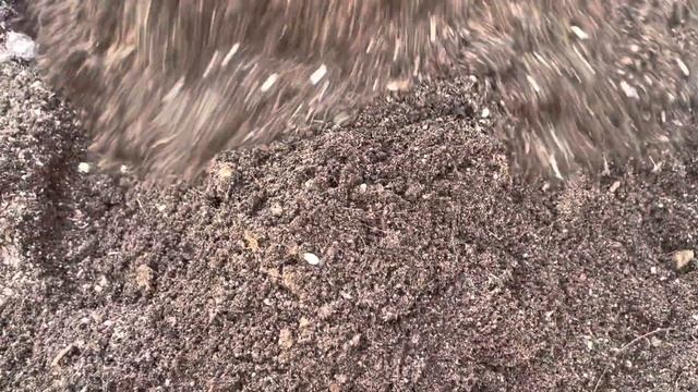 How To Make Potting Mix | Green Affair