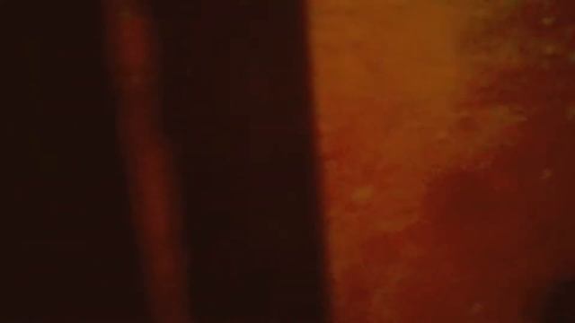 Клип на песню Грибы "Копы"| не судите строго пожалуйста. Мы старались. смотреть онлайн