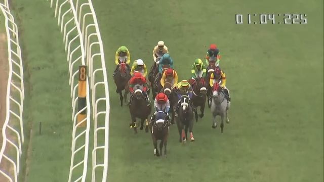 The Parisian Plate wins THE PANTHER смотреть онлайн