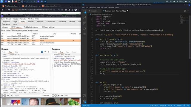 11. Lab 10 - Infinite money logic flaw смотреть онлайн