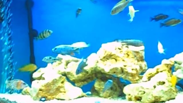 new 180l смотреть онлайн