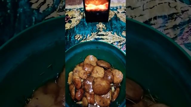 🍄Шок?! берег Чёрного морюшка🍄по грибы, да ягоды в ноябре?! А как вы там на Ямале?!) смотреть онлайн