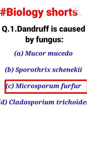 Dandruff Is Caused By Fungus |#shorts |#biology Shorts |#shudhgyan |#mcq Of Biology |#biology Mcq