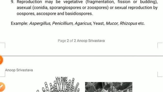 vid 6 Kingdom Fungi - Diversity in living organisms смотреть онлайн