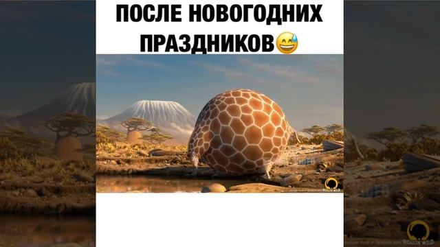 Прикол про жирафа смотреть онлайн
