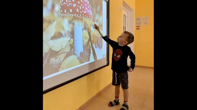 Собираем в осеннем лесу грибы смотреть онлайн