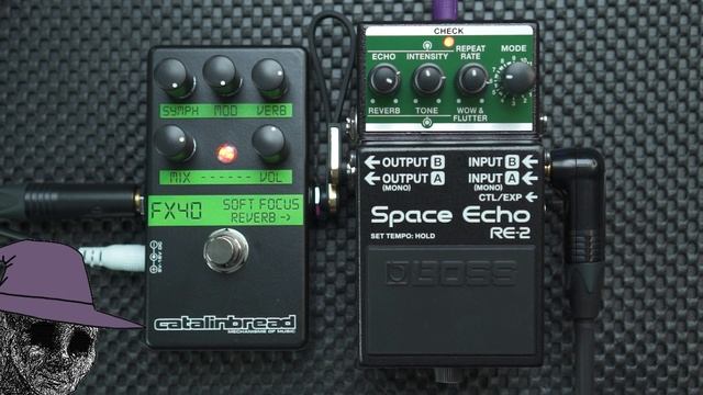 BOSS Space Echo RE-2 + Catalinbread Soft Focus