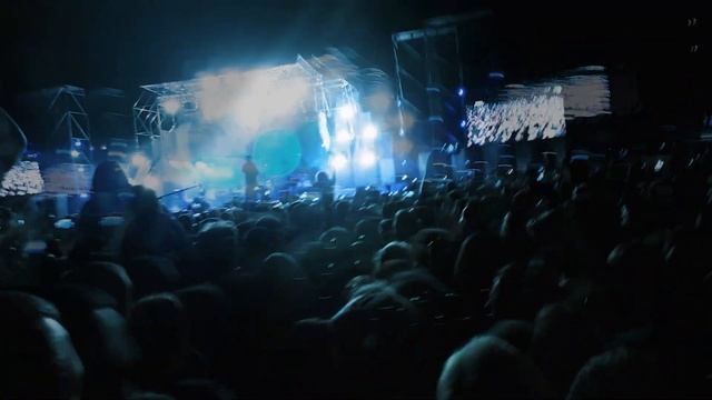 Грибы Харьков 23.08