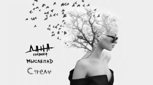 Дана Соколова - Стрела