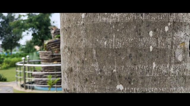 IQOO Neo 6 Camera Review | 4K 60Fps, Slow Motion, Wide Angle, OIS, EIS, Photos Sample 🔥 смотреть онлайн