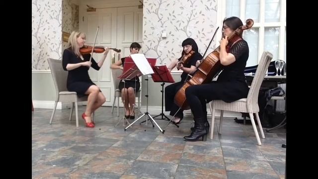 Aurora Strings - One Day Like This смотреть онлайн