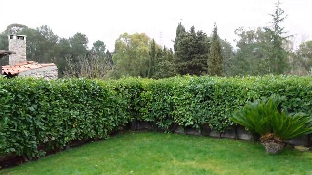 Tour Del Mio Giardino A Febbraio 2021 Considerazioni