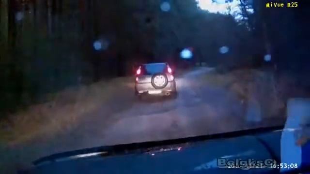 Триллер! Поездка по лесным дорогам на регистратор. Песня. смотреть онлайн