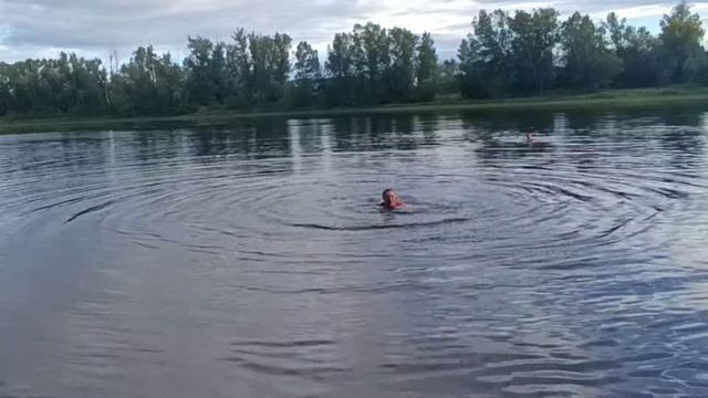 Приехал с армии главный МОРЖ 🏊💦❤️ смотреть онлайн