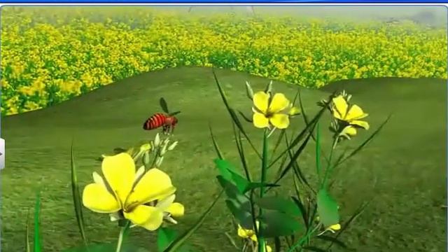 CBSE Class 11 Biology || Characteristics Of Living Organisms || By Shiksha House