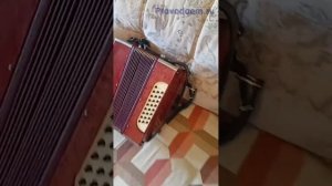 Батл: Две старые тульские гармони Ля или Соль. Поиграем. Гармонь 1960г.