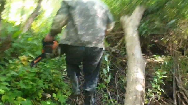 9 сентября 2023 г.Опять собирали и немного рыбачили и рыбки нету а грибы есть.