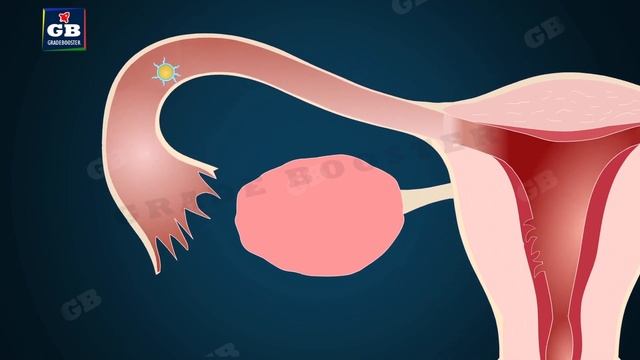 How Do Organisms Reproduce Class 10 #fullchapter | Class 10th CBSE Biology | Ncert Class 10 Science