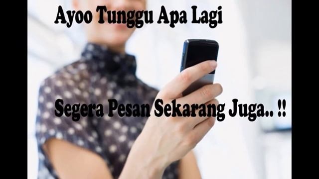 085 320 602 958 | Propolis Plus Capsule Green World | Obat Herbal Propolis Plus Capsule смотреть онлайн