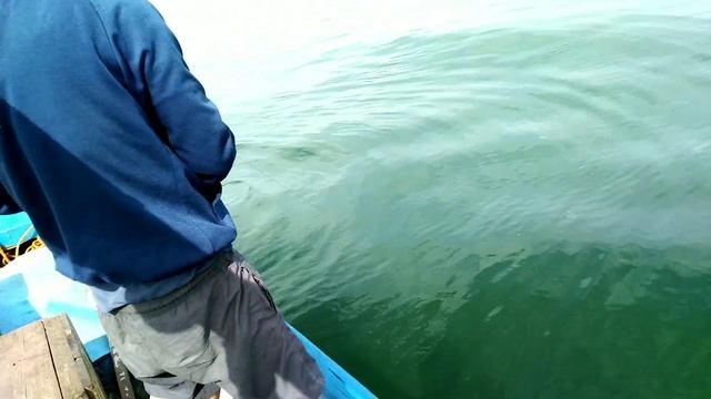 RAPALA KILER,UMPAN RAPALA REKOMENDASI TERBAIK UNTUK TROLING смотреть онлайн