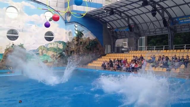 Поход в Дельфинарий! Посети и ТЫ! смотреть онлайн