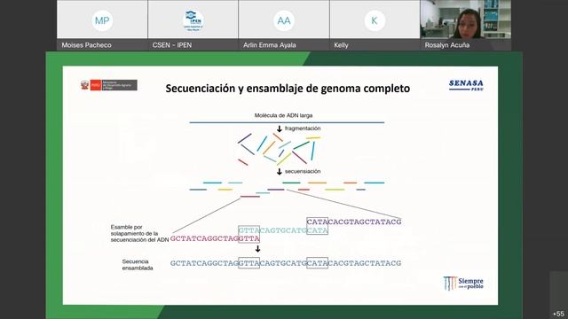 JUEVES CIENTÍFICO - "Energía Nuclear para combatir la marchitez del banano causado por Fusarium" смотреть онлайн