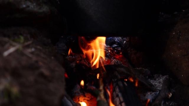 Autumn Bushcraft - Wild apple pie, Dutch oven, Herb tea (ASMR) смотреть онлайн